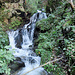 Wildromantischer Söllbach. 