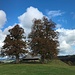 beliebtes Fotomotiv: der Stall oberhalb der Oberen Schützenalp; heute mit Herbstfarben und dekorativer Wolkenbildung