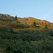 Rückblick