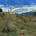 Blick ins Zillertal.