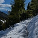 Steig Nr. 68