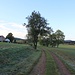Bahntrasse