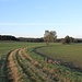 Bahntrasse