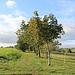 Bahntrasse