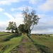 Bahntrasse