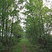 Bahntrasse