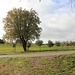 Entfernter Trassenabschnitt