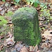 Königlich Sächsischer Forstgrenzstein aus einer gut erhaltenen Grenzsteinreihe