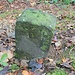 Königlich Sächsischer Forstgrenzstein 64