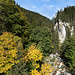 Sicht von der Schlappintobel Hängebrücke