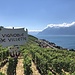 Villette ist der erste Weinort am Wege