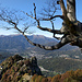 Denti della Vecchia mit Sicht über Tesserete zum Monte Gradiccioli und Monte Tamaro