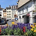 Blumen auf dem Place de marche