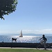 Summer in the city