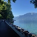 zwischen La-Tour-de-Peliz und Clarens