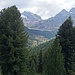 Ein letzter Blick auf die zentralen Gipfel der Livigno-Alpen. Der Parkplatz P3 am Ende der Straße ins Val Viola Bormina ist mittig im Wald zu erkennen.