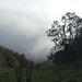 der Nebel holt uns ein