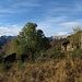 Ambiente in salita