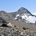 in cima alla Gianni Vert