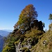 Der Aufstieg auf dem Alpinweg führt an wilden Felstürmchen vorbei