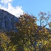Aussicht auf die wilden Felsklippen des Baraghetto bei der Alp Perostabbio