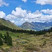 Moorlandschaft