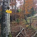 Der Zugang von oben zum Ch. des Brigands ist in der nordwestlichsten Ecke der Weide zu suchen.