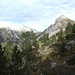 Nach dem Himmelchopf sind wir runter und folgten dem markierten Wanderweg Richtung Zindlen 