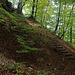 Im Hardwald über der Aare befindet sich die Burgstelle der nicht mehr erhaltenen Ruine Chienberg (430m) auf einer Kuppe.