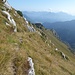 la traccia prosegue sino all'evidente zona boschiva, da li si scende a Pissisidolo. Però ho ntato una traccia ancora più stretta che prosege sino allo sperone roccioso. La prossima volta...