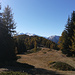 La in fondo oltre il bosco la cima