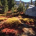 Fall colors in the Desolation Wilderness