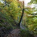 Auf dem Bergweglein unterhalb der Lidafelsen