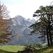 Blick vom Guschafürggli zum Falknis