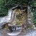 Das mit Efeu umrankte Brünneli beim Fläscherbad