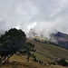Blick zur Gauschla