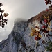 Gonzenwand