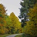 RAVel, im Herbst