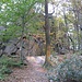 Der Hohenstein ist deutlich größer als der Borstein, und eine kleine Klettergruppe war heute dort auch aktiv.