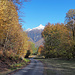Das auffällig breite Trassee der Alpstrasse nach Nàseri