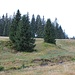 Bergbauspuren
