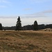 Erzgebirgslandschaft