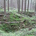 Pingengelände am Plochá hora (Kranisberg)