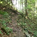 Waldpfad Richtung Voderschaneralpe
