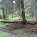 Důl Rolava, Kriegsgefangenenlager (französischer Teil)