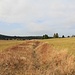 Rolava, erster Wassergraben<br />Die Gräben dienten der Versorgung von Bergbauanlagen mit Antriebskraft bzw. Betriebsmittel.