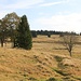 Rolava, zweiter Wassergraben