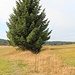 Rolava, zweiter Wassergraben