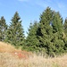 Altbergbaulandschaft