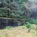 Důl Otto, Stützmauer und einstige Grubenbahntrasse